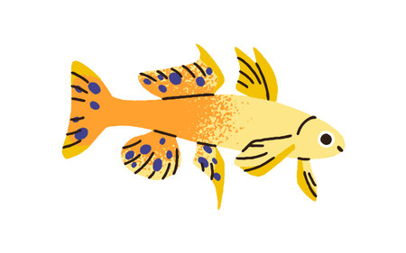 Cute exotic tropical fish. Sea water animal swimming. Small little aquarium species. Ornamental decorative guppy with spotted tail, fins. Flat graphic vector illustration isolated on white backgroundのイラスト素材
