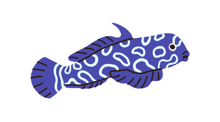 Cute mandarin fish. Exotic tropical sea marine animal, mandarinfish. Small spotted species. Funny ornamental ocean water fauna. Flat vector illustration isolated on white backgroundのイラスト素材
