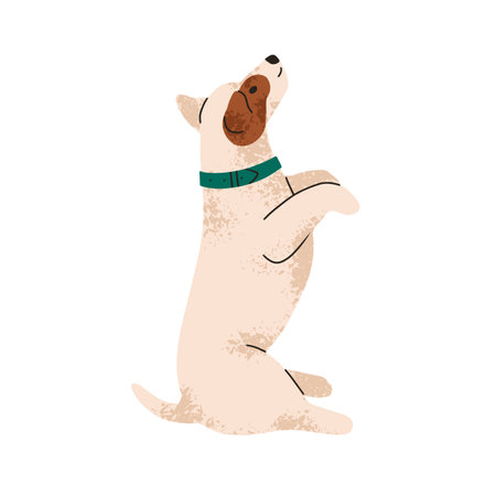 Cute dog in begging pose. Funny puppy of Jack Russell terrier breed. Canine obedience. Adorable pup in praying position, performing command. Flat vector illustration isolated on white backgroundのイラスト素材