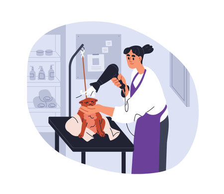 Grooming cat, drying wet fur with hair dryer. Professional groomer blowing hot air, wind on clean kitty. Feline animal care in beauty salon. Flat vector illustration isolated on white backgroundのイラスト素材