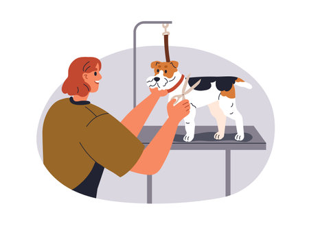Groomer grooming dog, doing haircut, hairstyle at pet beauty salon. Cutting canine hair with scissors, styling doggies coat. Professional service. Flat vector illustration isolated on white backgroundのイラスト素材