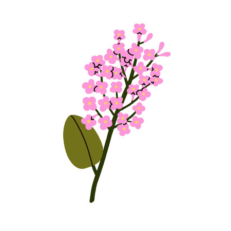 Lilac, floral plant. Spring flower branch. Blossomed twig, sprig. Botanical design element, delicate decoration. Blooms, leaf on stem. Flat vector illustration isolated on white backgroundのイラスト素材