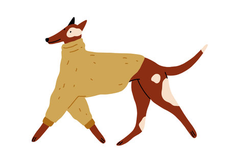 Cute happy dog walking, wearing warm winter sweater, canine animal clothes. Funny doggy running in wool apparel for cold weather. Flat graphic vector illustration isolated on white backgroundのイラスト素材