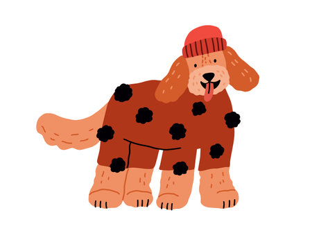 Cute dog in canine clothes, wearing warm sweater and winter hat. Funny labradoodle doggy in knitwear. Happy puppy in knitted wool apparel. Flat vector illustration isolated on white backgroundのイラスト素材