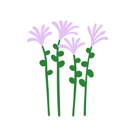 Spring flowers. Fragile delicate meadow blooms. Field floral herbs, stems. Beautiful gentle simple blossomed wildflowers. Abstract botanical flat vector illustration isolated on white backgroundのイラスト素材