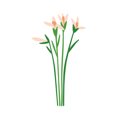Spring flowers. Field floral plants. Natural summer wild blooms, stems, leaf. Delicate fragile gentle meadow flora. Charming wildflowers. Flat vector illustration isolated on white backgroundのイラスト素材