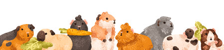 Cute guinea pigs border. Funny cavies, long banner. Adorable little rodent pets, kawaii animals,...