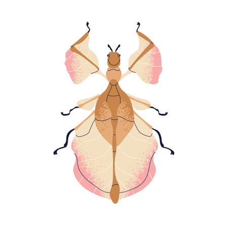 Beautiful fictional beetle. Whimsical bug species. Wonderful delicate insect with gentle wings, top view. Abstract imaginary phylliidae. Flat vector illustration isolated on white backgroundのイラスト素材