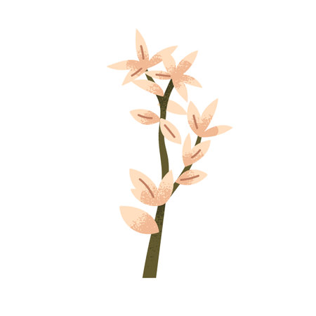 Flower branch. Tuberose, blooming plant. Exotic tropical floral design element, fresh blossoms on stalk, stem. Garden twig. Botanical natural flat vector illustration isolated on white backgroundのイラスト素材