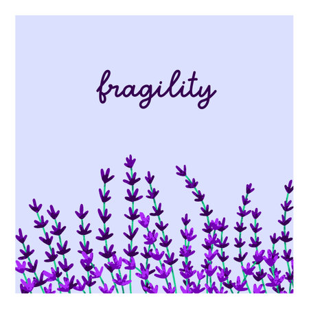 Floral card design, lavender flowers. Summer field blooms, square background. Blossomed lavander stems, gentle fragile lavandula wildflowers, nature backdrop. Botanical flat vector illustrationのイラスト素材