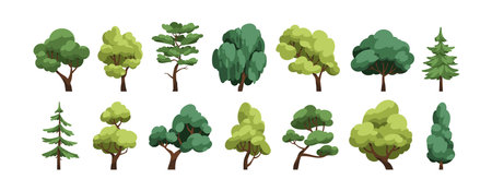 Trees set. Forest foliage plants. Lush leaf canopy of deciduous and coniferous. Summer wood. Green leafy crowns and trunks. Botanical natural flat vector illustration isolated on white backgroundのイラスト素材