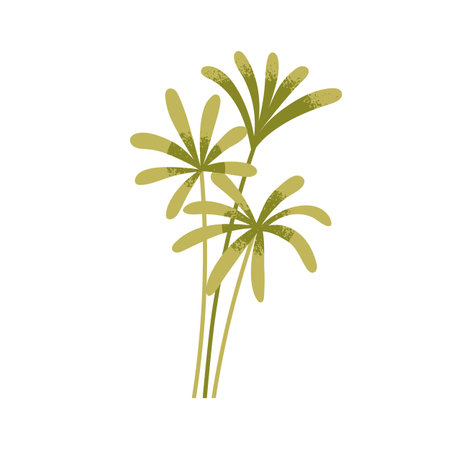 Tropical exotic plant, green leaf branches. Greenery, botanical composition with palm leaves, sprig. Decorative delicate natural foliage twig. Flat vector illustration isolated on white backgroundのイラスト素材
