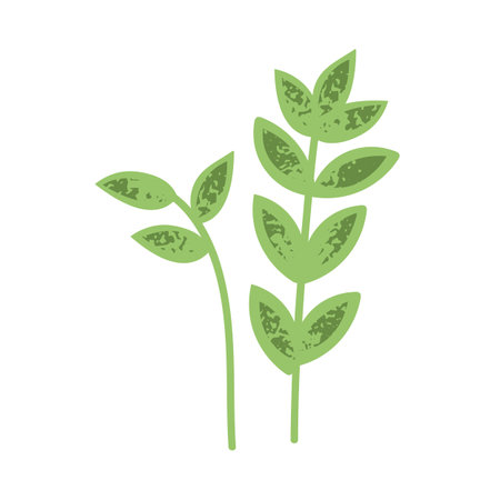 Green leaves, foliage plant branch, sprig. Fresh natural botanical design elements. Greenery twig. Decorative gentle leafy flora composition. Flat vector illustration isolated on white backgroundのイラスト素材