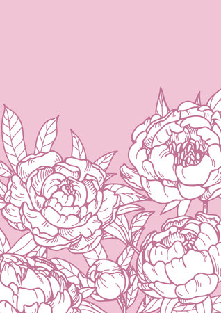 Peony flower card. Blooming plant, spring buds. Summer floral design for postcard, poster background. Botanical vintage style, natural contoured outlined backdrop. Hand-drawn vector illustrationのイラスト素材