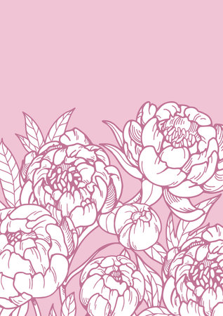 Flower card. Peony blossom, floral botanical poster design. Natural garden blooms, contoured detailed engraved drawing in retro style. Beautiful spring banner. Hand-drawn vector illustrationのイラスト素材