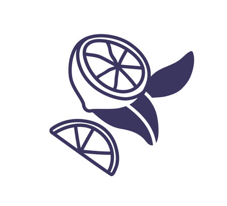 Lime fruit, cut half and wedge piece. Lemon, citrus slice and leaf. Exotic tropical food, eating composition. Outlined contoured flat graphic vector illustration isolated on white backgroundのイラスト素材