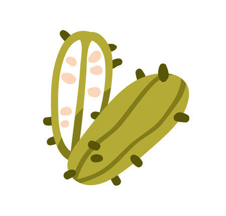 Kiwano, horned melon, cut half piece and whole spiky fruit. Exotic tropical food, natural vitamin eating with ripe fresh flesh and seeds. Flat graphic vector illustration isolated on white backgroundのイラスト素材