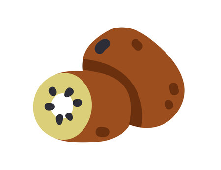 Kiwi fruit, cut half with green flesh and seeds. Fresh exotic berry, natural ripe sweet organic tropical food. Kiwifruit icon, vitamin. Flat graphic vector illustration isolated on white backgroundのイラスト素材