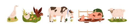 Farm animals set. Goose, chicken, hen and rooster, dairy cow, pig in mud, sheep in countryside. Domestic poultry and livestock in country. Flat vector illustration isolated on white backgroundのイラスト素材