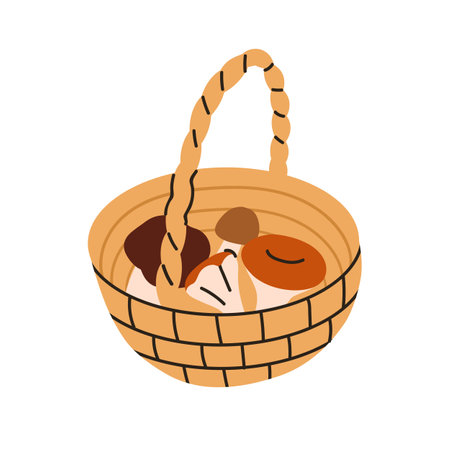 Basket filled with mushrooms. Forest fungi, picked collected autumn harvest. Wicker full of edible fungus, natural fall seasonal food. Flat graphic vector illustration isolated on white backgroundのイラスト素材