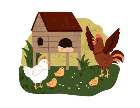 Hen, rooster and chicken in countryside. Domestic poultry family, chicks brood pecking grains in country. Cute fowl birds, rural nature life. Flat vector illustration isolated on white backgroundのイラスト素材