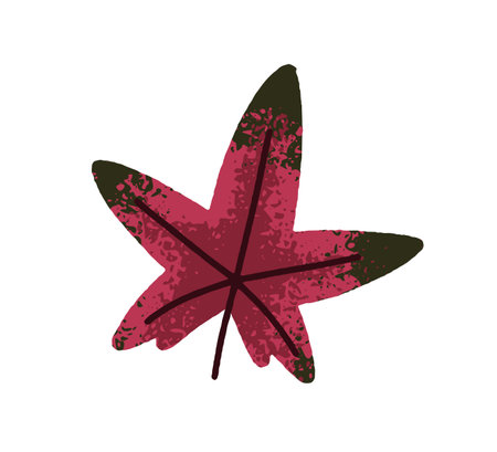 Maple tree leaf. Autumn red dried decoration. Seasonal botanical design element. Fall forest decor. Natural herbarium icon. Flat graphic vector illustration isolated on white backgroundのイラスト素材