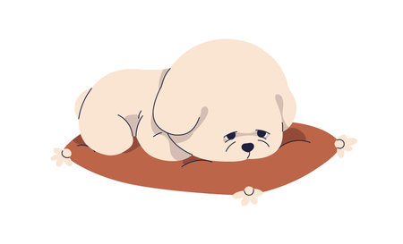 Sad Bichon Frise puppy lying on cushion. Cute fluffy canine animal, kawaii companion pet missing. Upset bored little dog, unhappy depressed pup. Flat vector illustration isolated on white backgroundのイラスト素材