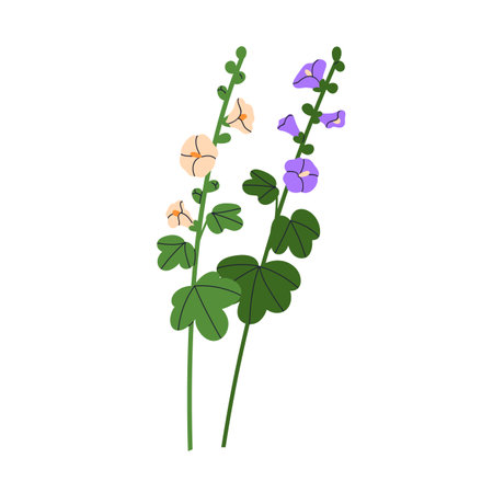 Mallows, flower branches, stems with leaves. Delicate malva blossoms. Floral blooming sprigs, spring and summer plant. Btanical natural flat graphic vector illustration isolated on white background.のイラスト素材