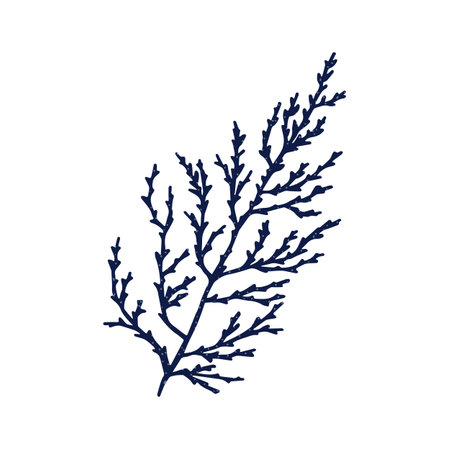 Coral branch, marine plant. Exotic seaweed, tropical underwater alga. Sea reef element. Natural organic undersea decoration. Ocean decor. Flat vector illustration isolated on white backgroundのイラスト素材