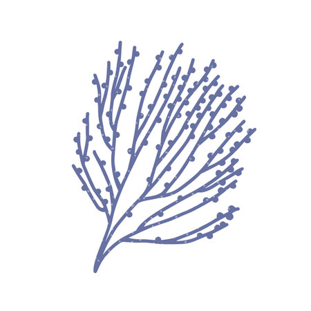 Sea plant branch. Underwater alga, seaweed. Under water coral reef flora. Exotic tropical marine decoration. Decorative flat graphic vector illustration isolated on white backgroundのイラスト素材
