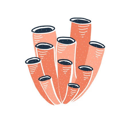 Sea tube sponges cluster. Underwater marine organism with cylindrical hollow structure. Exotic undersea fauna. Under water reef plant. Flat graphic vector illustration isolated on white backgroundのイラスト素材