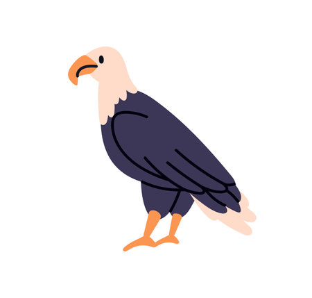 Eagle, predator bird. American feathered animal, hunter with beak and folded wings, side view. Wild fauna, raptor profile. Flat graphic vector illustration isolated on white backgroundのイラスト素材