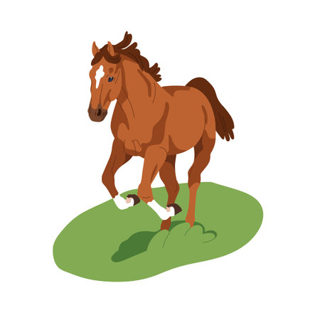 Quarter horse on grass outdoors. Equine animal in movement. Thoroughbred stallion in nature, in action, motion. Beautiful breed running in field. Flat vector illustration isolated on white background.のイラスト素材