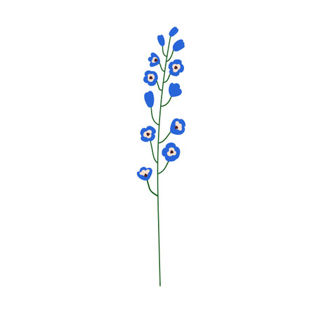 Flower branch, delphinium bloom. Delicate floral plant, thin fragile stem, gentle bud blossoms and petals. Decorative botanical element. Flat vector illustration isolated on white backgroundのイラスト素材