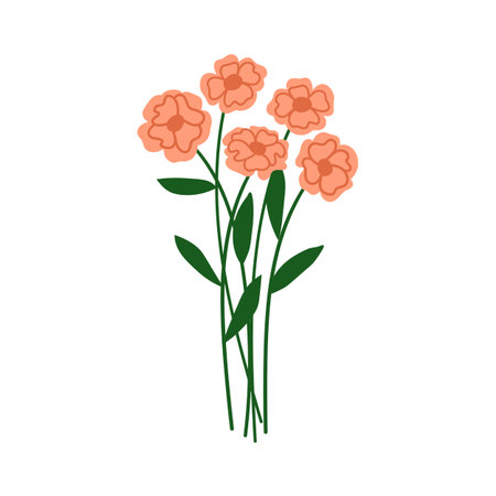 Flowers, floral blossoms, carnation bouquet. Delicate blooming plants, stems, gentle petals, spring garden buds, leaves. Botanical decoration. Flat vector illustration isolated on white backgroundのイラスト素材