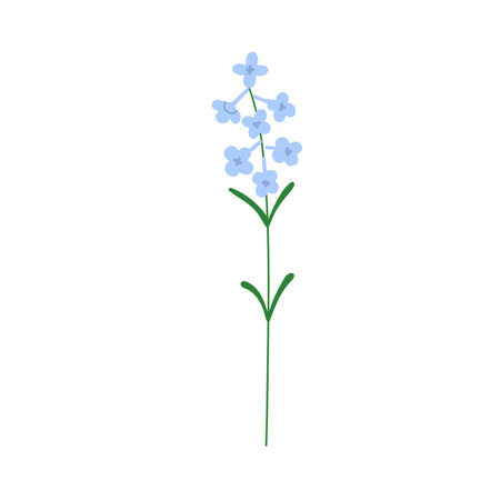 Floral branch. Thin flower stem, forget-me-nots. Gentle delicate fragile wildflower with tiny spring blossoms, charming seasonal field bloom. Flat vector illustration isolated on white background.のイラスト素材