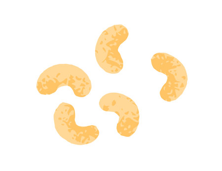 Cashew nuts, healthy vegan protein snack. Tasty vegetarian food. Sweet kernels, vitamin eating, scattered, flying composition. Natural ingredient. Flat vector illustration isolated on white backgroundのイラスト素材