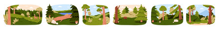 Forest landscapes set. Wild woods, summer nature scenes with green pine and foliage trees....