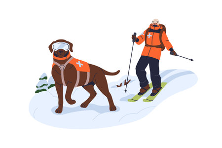 Dog, ski patrol in mountain, snow winter. Trained canine animal rescuer at service, work, rescuing help in emergency, helping in search. Flat vector illustration isolated on white backgroundのイラスト素材