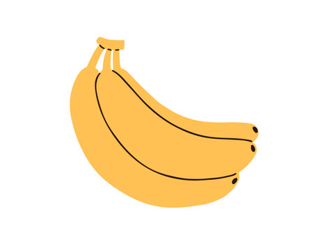 Banana fruit bunch, yellow peel. Fresh tropical snack, sweet healthy potassium food. Organic natural vitamin nutrition. Exotic banan icon. Flat vector illustration isolated on white backgroundのイラスト素材