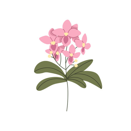 Orchid flower bloom. Spring delicate blossoms and leaf on stem. Tropical floral plant branch. Beautiful gentle petals, leaves. Nature decoration. Flat vector illustration isolated on white backgroundのイラスト素材