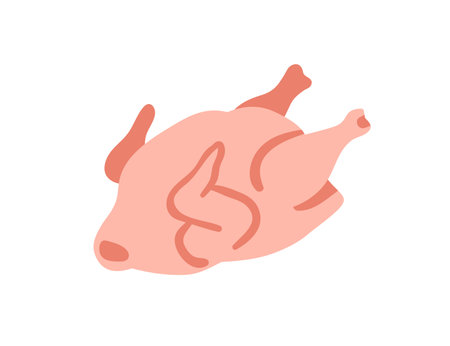 Raw chicken, whole poultry, hen meat. Full bird carcass, uncooked fresh organic protein food for dinner meal. Broiler, fowl product, produce. Flat vector illustration isolated on white backgroundのイラスト素材
