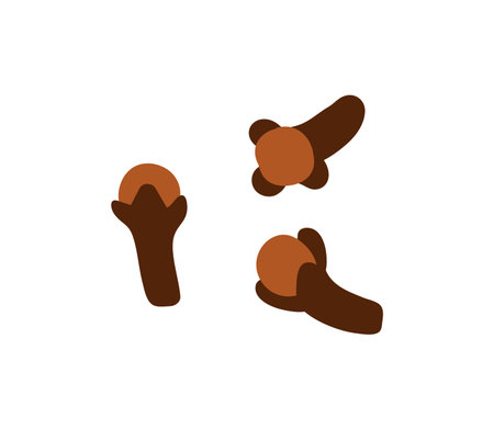 Clove spice. Aromatic dry carnation buds flying, falling. Spicy seasoning, cooking ingredient, flavor. Natural pungent condiment with scent. Flat vector illustration isolated on white backgroundのイラスト素材