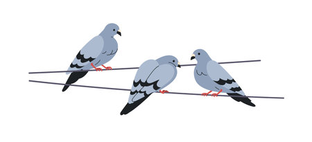 Pigeons perched on wire. Urban birds group sitting together on electric cable, power line, from behind, relaxing on string, cord. Flat vector illustration isolated on white backgroundのイラスト素材