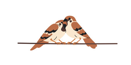 Sparrow couple sitting on electric cable, wire. Little small European birds perched together on power line. Cute romantic urban songbirds. Flat vector illustration isolated on white backgroundのイラスト素材