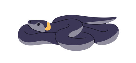 Grass snake coiled and resting. Calm forest reptile animal with black body and yellow spots on head, tail curved. Wildlife, wild fauna, adder. Flat vector illustration isolated on white backgroundのイラスト素材