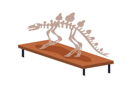 Dinosaur skeleton fossils display. Prehistoric animal bones, paleontology and archeology museum exhibit. Extinct reptile from jurassic period. Flat vector illustration isolated on white backgroundのイラスト素材