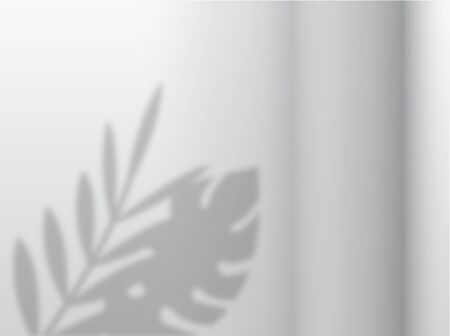 Shadow Overlays Mockups for presentations. Set with the effect of sun shadow. Natural and organic light effects. Realistic and well drawn. Isolated and Easy to edit. Vector illustrationのイラスト素材