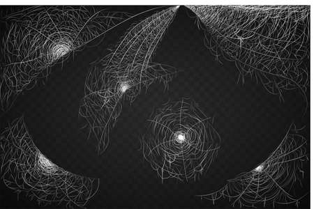 New collection of realistic Codweb. On a black background. Can be used as decoration for thematic illustrations and complement to other elements. Hand drawn isolated Silhouette Vector Illustrationのイラスト素材