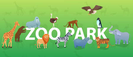 Zoo animals on green background with silhouettes. Animals in different poses. Bear, walrus, hippo, lion, ostrich, zebra, monkey, eagle, giraffe, penguin, elephant, tiger. Wild beasts. Flat Vectorのイラスト素材